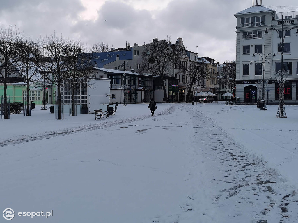 Pierwszy taki zimowy dzień w Sopocie! Miasto w białej odsłonie 01.2020 [FOTO]