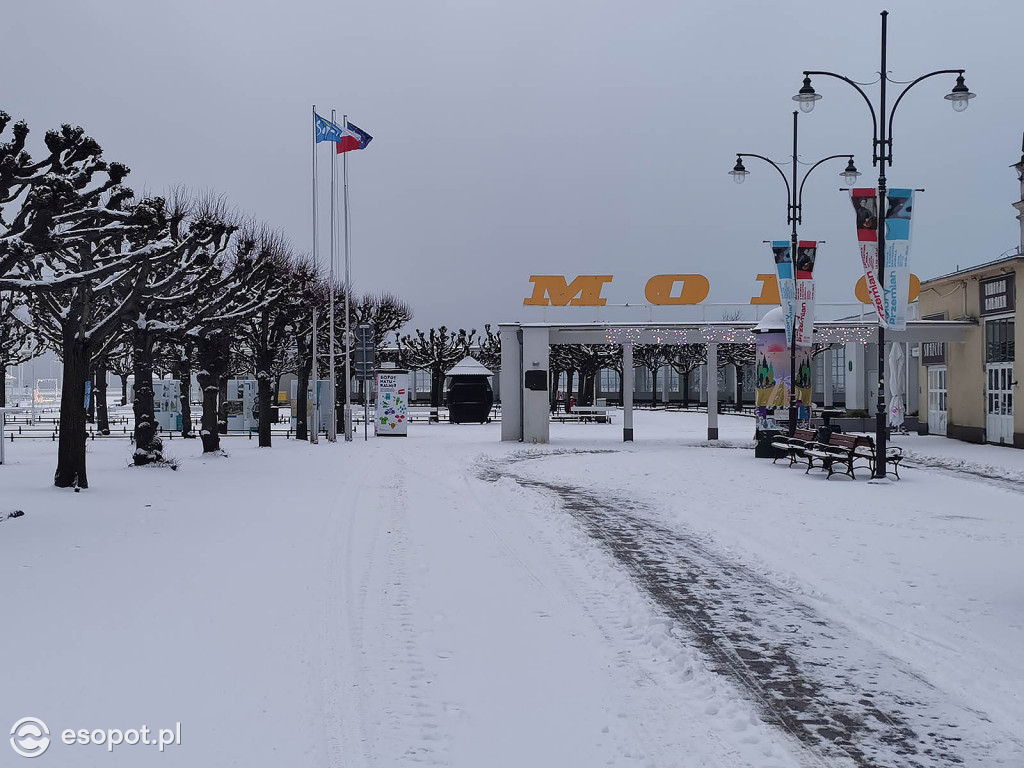 Pierwszy taki zimowy dzień w Sopocie! Miasto w białej odsłonie 01.2020 [FOTO]