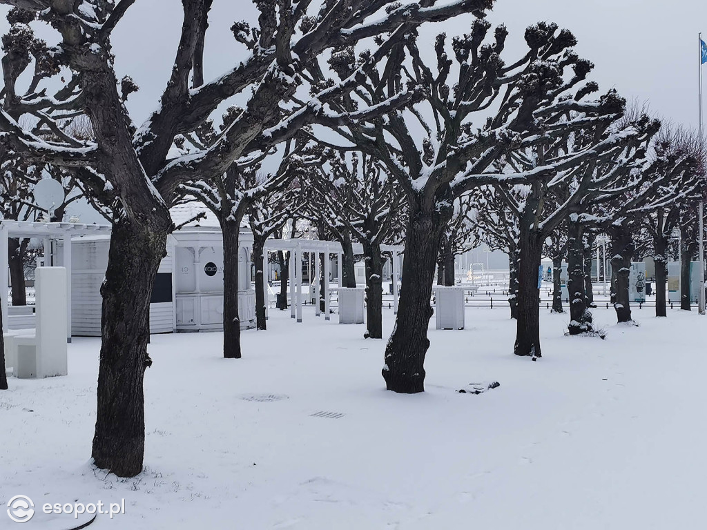 Pierwszy taki zimowy dzień w Sopocie! Miasto w białej odsłonie 01.2020 [FOTO]