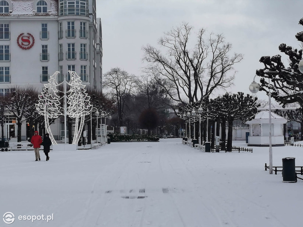 Pierwszy taki zimowy dzień w Sopocie! Miasto w białej odsłonie 01.2020 [FOTO]