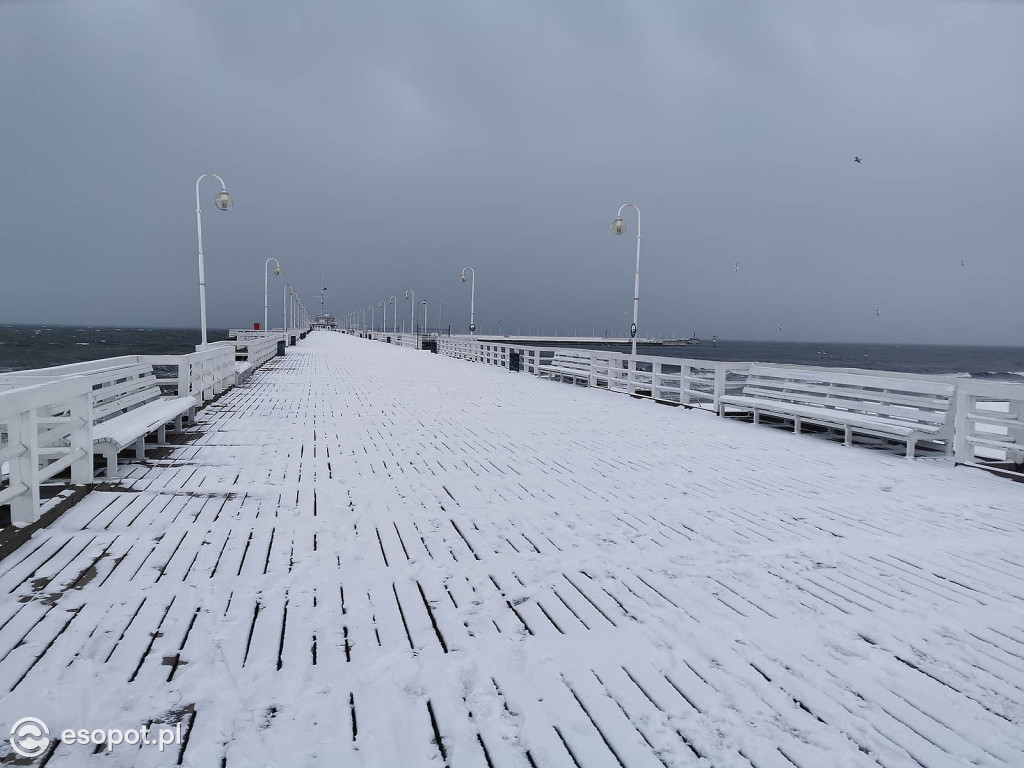Pierwszy taki zimowy dzień w Sopocie! Miasto w białej odsłonie 01.2020 [FOTO]