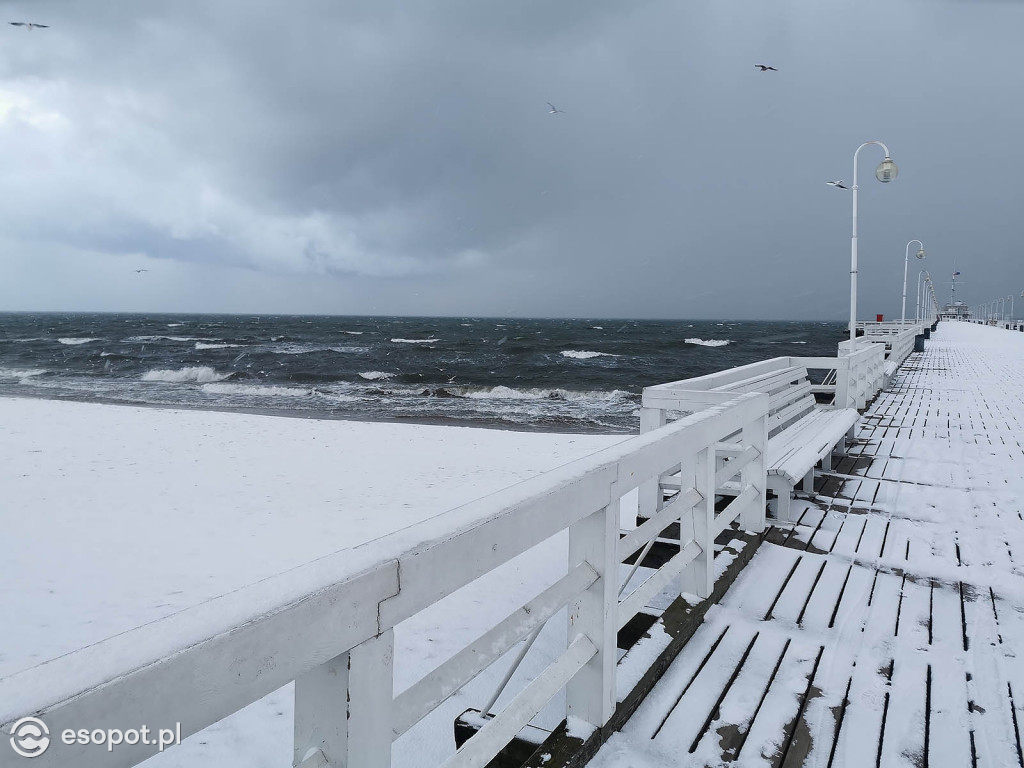 Pierwszy taki zimowy dzień w Sopocie! Miasto w białej odsłonie 01.2020 [FOTO]