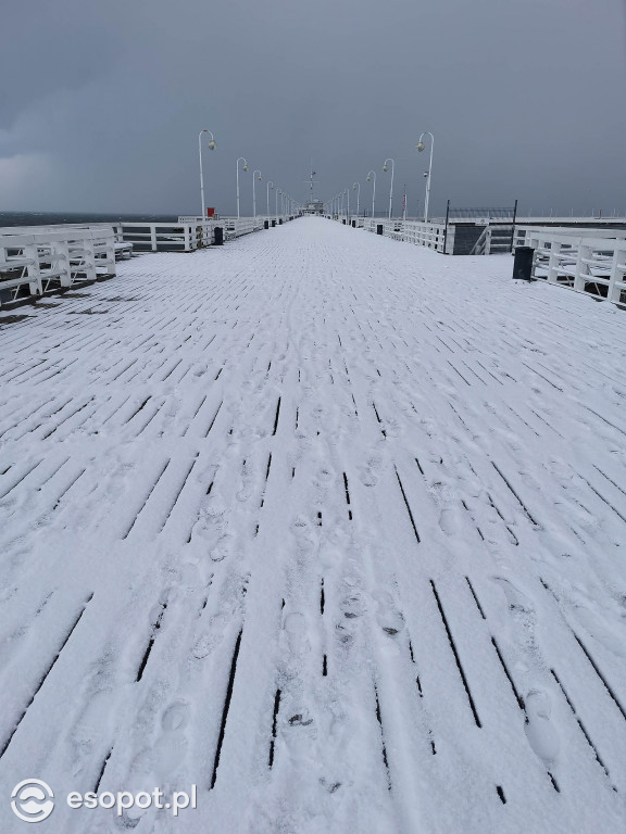 Pierwszy taki zimowy dzień w Sopocie! Miasto w białej odsłonie 01.2020 [FOTO]