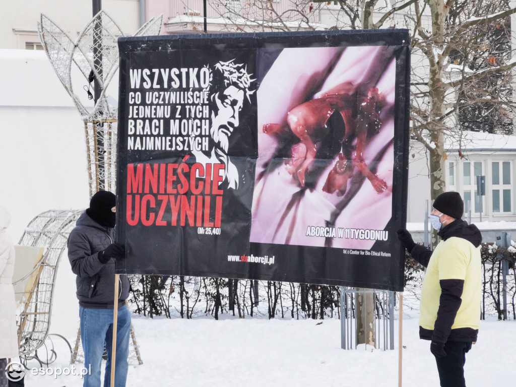 Kolejna pikieta fundacji Pro - Prawo do życia! Kontrowersyjne treści pojawiły się przy sopockiej choince