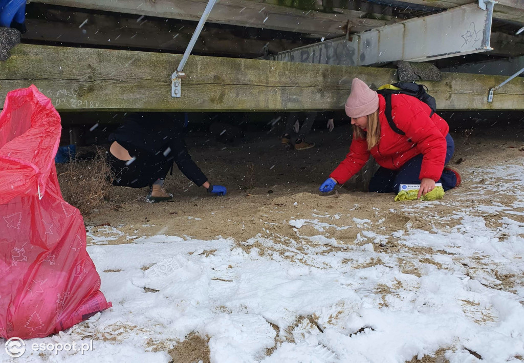 Śmieciospacer, czyli sprzątanie sopockiej plaży: Apartamenty Bema 4 w akcji