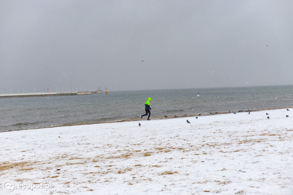 Narty, sanki i spacery: weekendowe tłumy na plaży w Sopocie [FOTO]