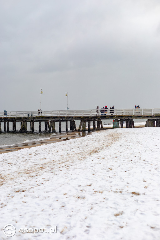 Narty, sanki i spacery: weekendowe tłumy na plaży w Sopocie [FOTO]