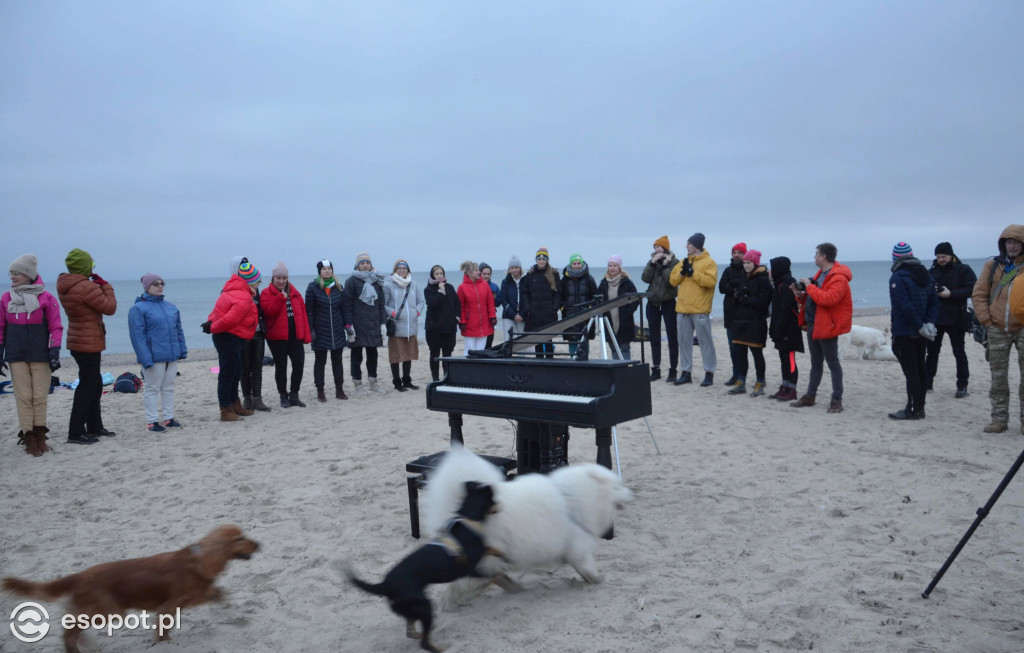 Koncert Piano Ice Mana na plaży w Sopocie