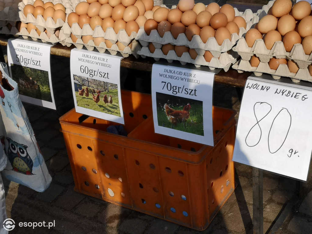 Co warto kupić? Przegląd cen na Sopockim Rynku