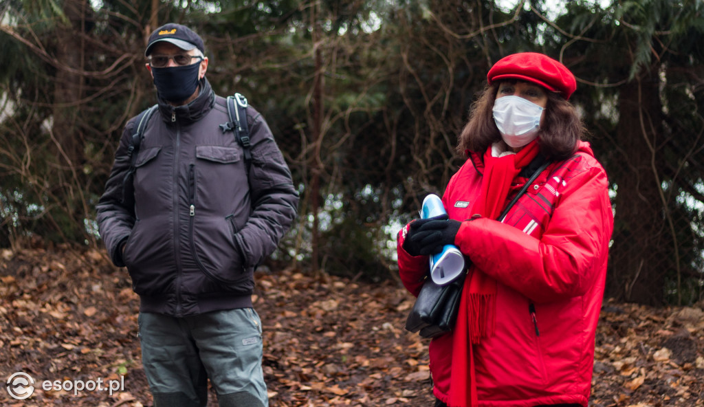 Ogromna wycinka w Sopocie: działania Lasów Państwowych w kurorcie [FOTO]