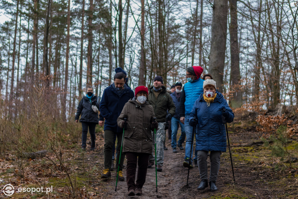 Ogromna wycinka w Sopocie: działania Lasów Państwowych w kurorcie [FOTO]