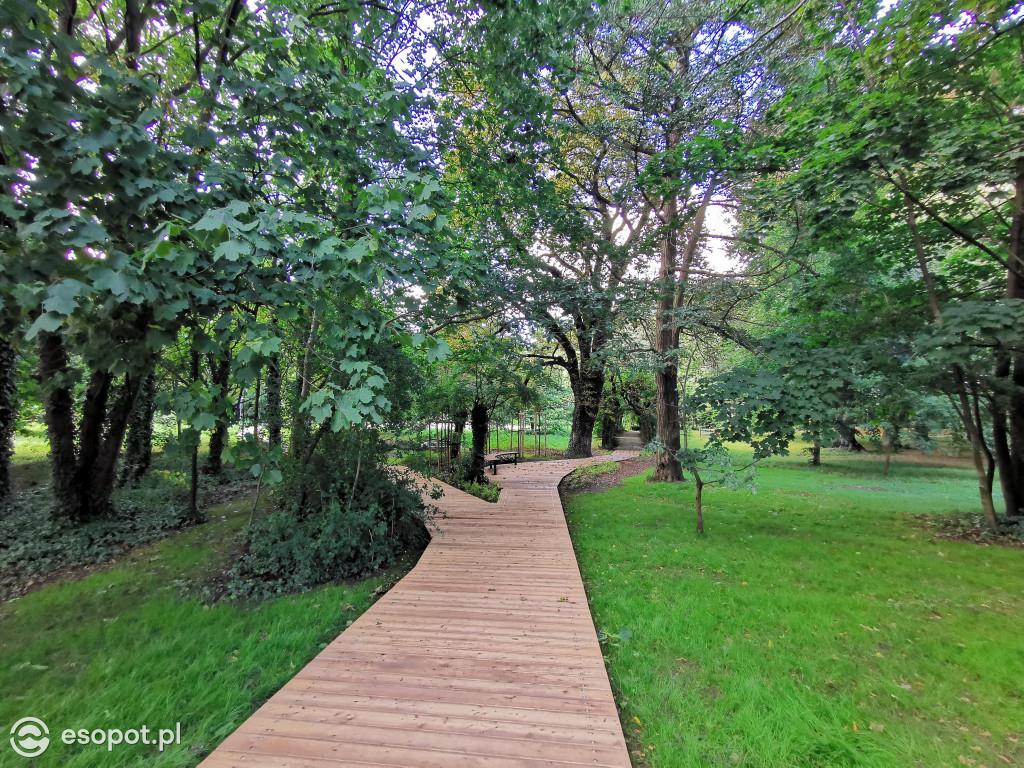 Zachwycający park i otoczenie odnowionej willi przy Goyki 3 [FOTO]
