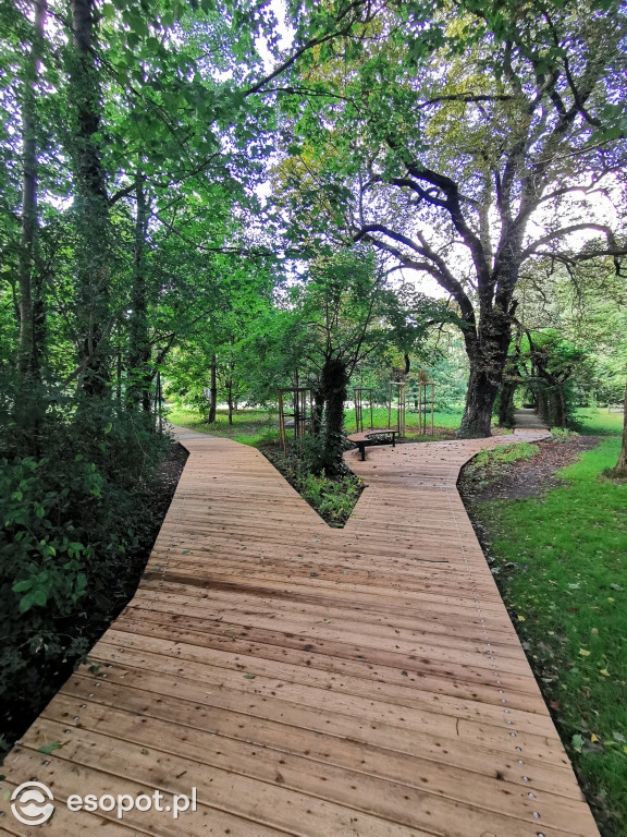 Zachwycający park i otoczenie odnowionej willi przy Goyki 3 [FOTO]