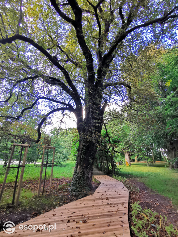 Zachwycający park i otoczenie odnowionej willi przy Goyki 3 [FOTO]