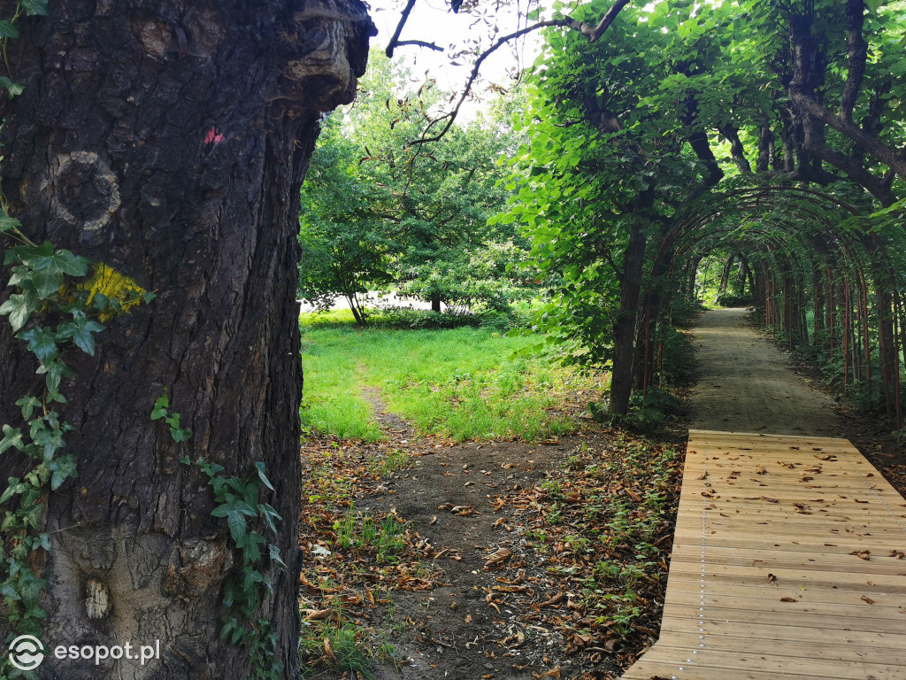 Zachwycający park i otoczenie odnowionej willi przy Goyki 3 [FOTO]