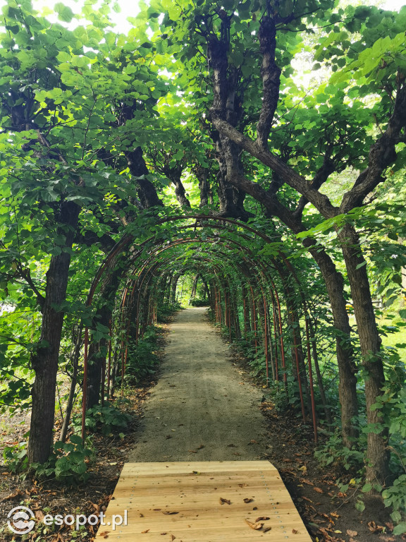 Zachwycający park i otoczenie odnowionej willi przy Goyki 3 [FOTO]