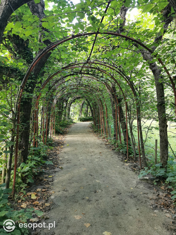 Zachwycający park i otoczenie odnowionej willi przy Goyki 3 [FOTO]