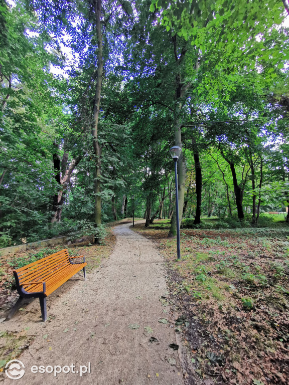 Zachwycający park i otoczenie odnowionej willi przy Goyki 3 [FOTO]