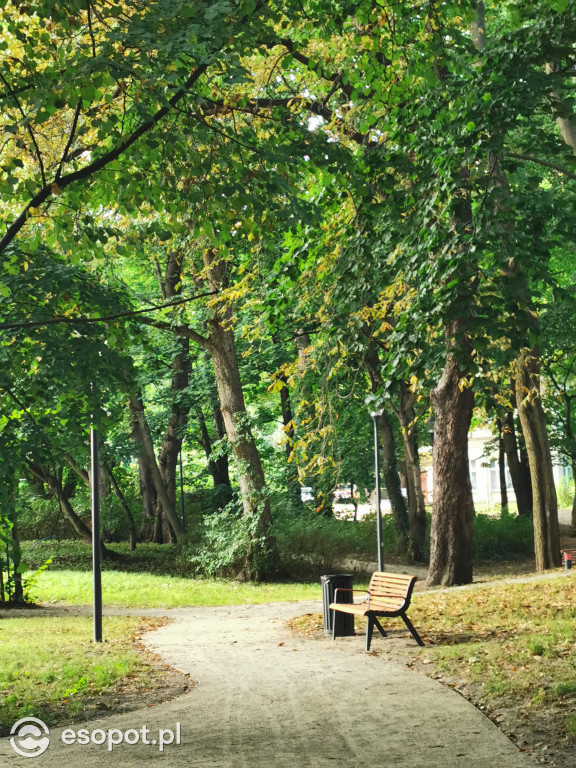 Zachwycający park i otoczenie odnowionej willi przy Goyki 3 [FOTO]