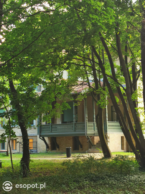 Zachwycający park i otoczenie odnowionej willi przy Goyki 3 [FOTO]