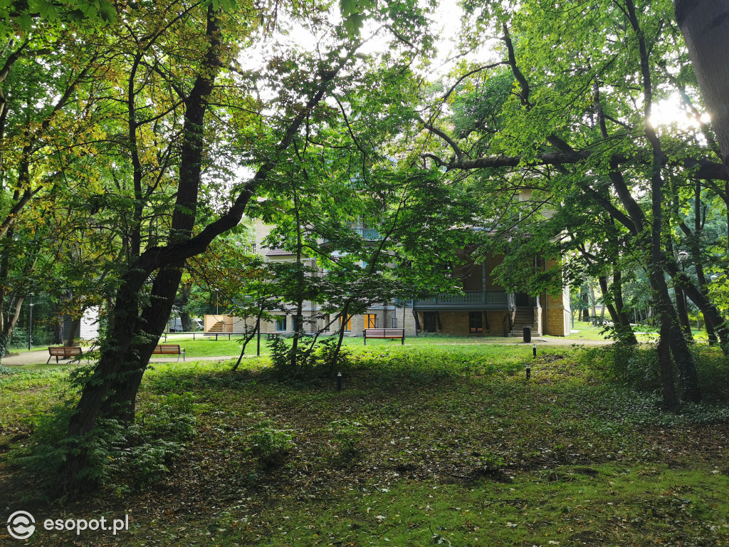 Zachwycający park i otoczenie odnowionej willi przy Goyki 3 [FOTO]