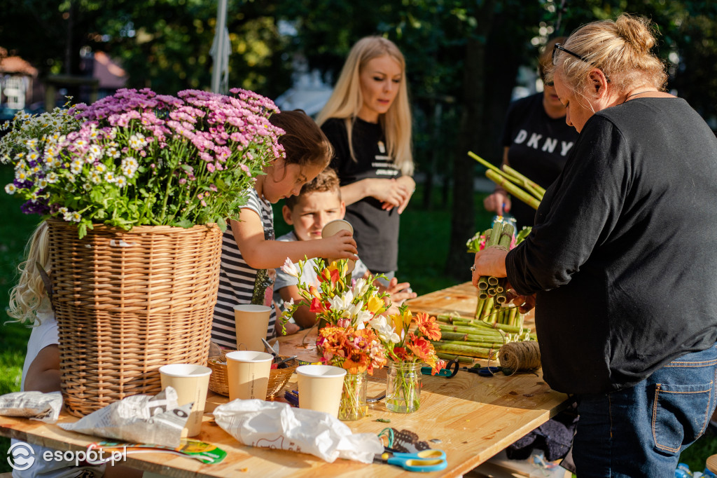 Sopockie Pikniki Sąsiedzkie: atrakcje dla dużych i małych [FOTO]