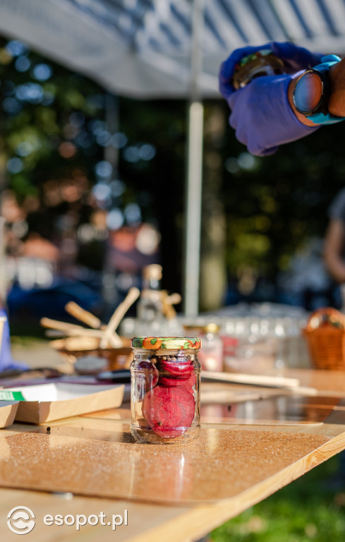 Sopockie Pikniki Sąsiedzkie: atrakcje dla dużych i małych [FOTO]