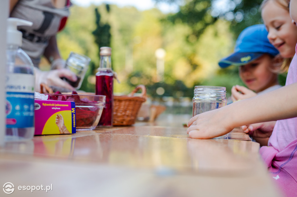 Sopockie Pikniki Sąsiedzkie: atrakcje dla dużych i małych [FOTO]