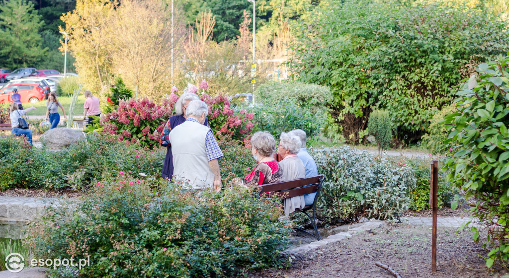 Sopockie Pikniki Sąsiedzkie: atrakcje dla dużych i małych [FOTO]