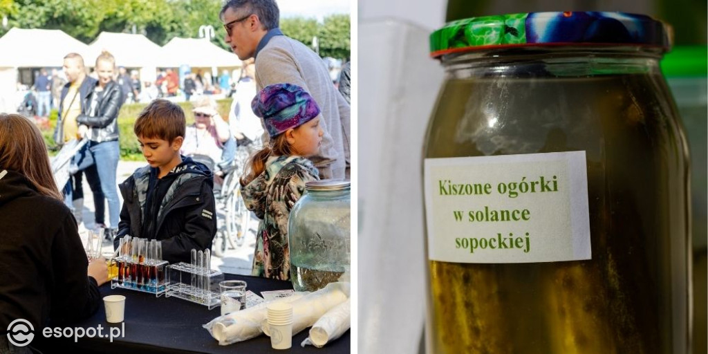 Zabieg kosmetyczny czy ogórki kiszone? Dzień solanki w Sopocie