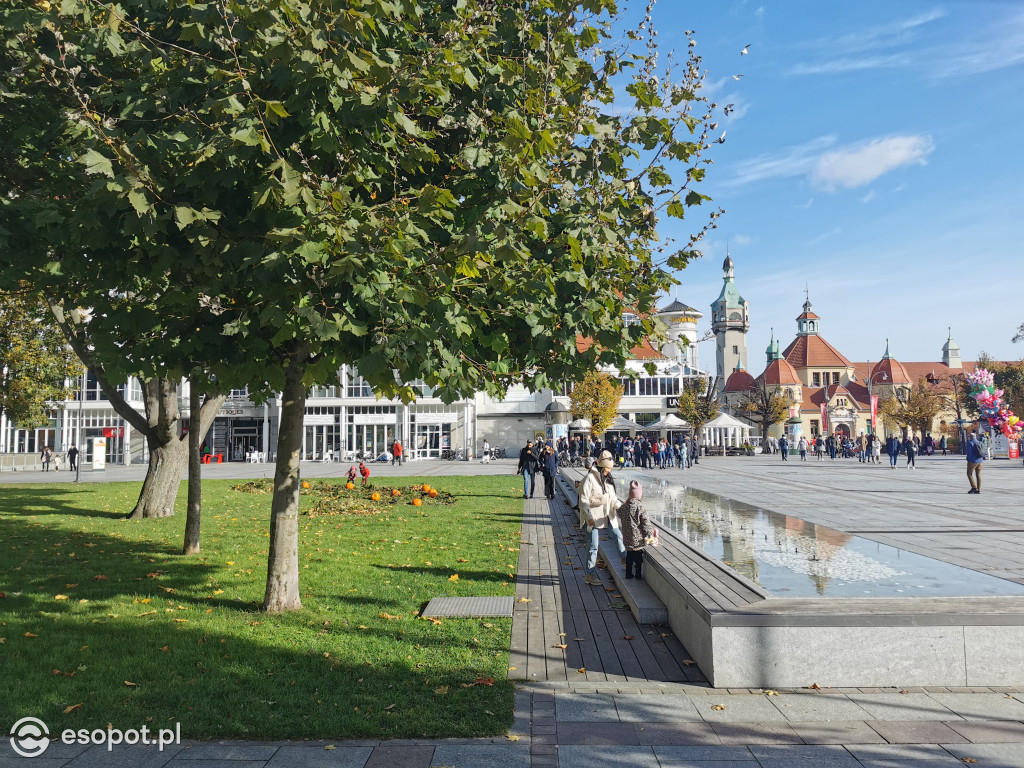 Sopot zalany słońcem! Tłumy spacerowiczów w kolejny październikowy weekend [FOTO]