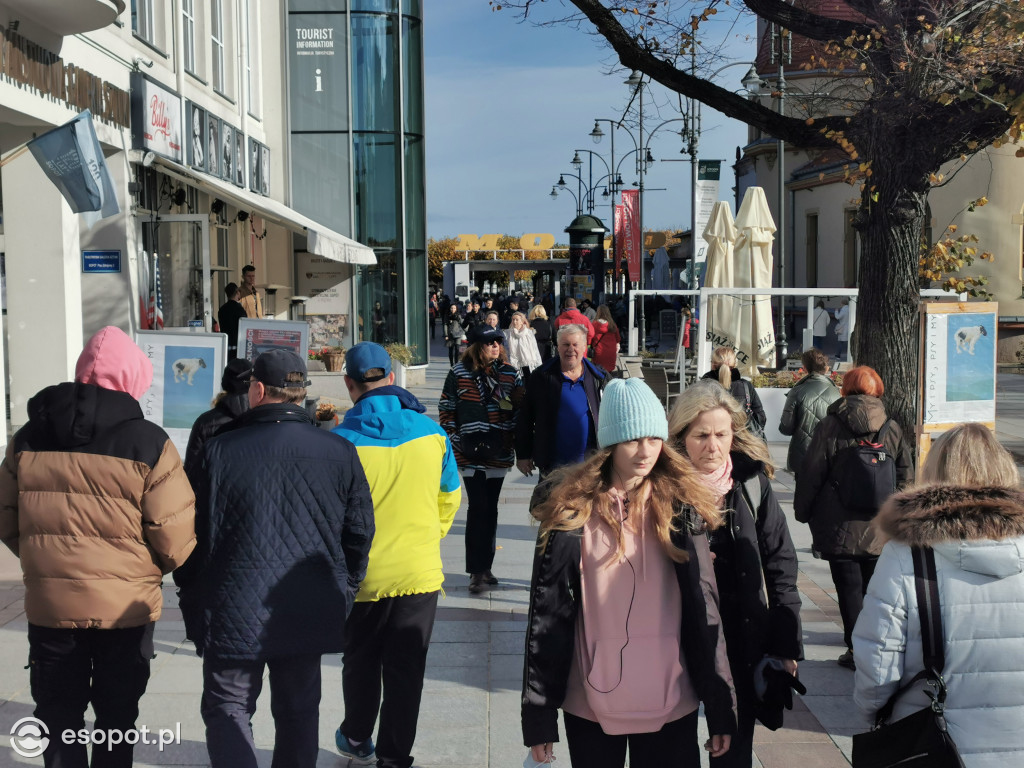 Sopot zalany słońcem! Tłumy spacerowiczów w kolejny październikowy weekend [FOTO]