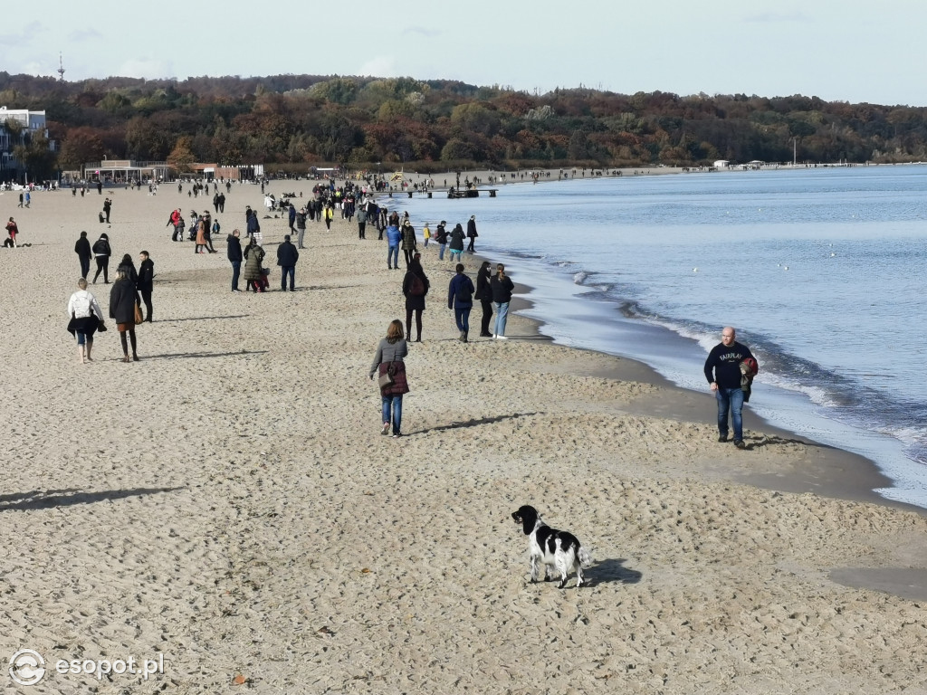 Sopot zalany słońcem! Tłumy spacerowiczów w kolejny październikowy weekend [FOTO]
