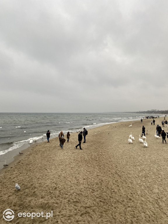 Czapka i szalik w kurorcie: Sopot pełen jesiennych wczasowiczów