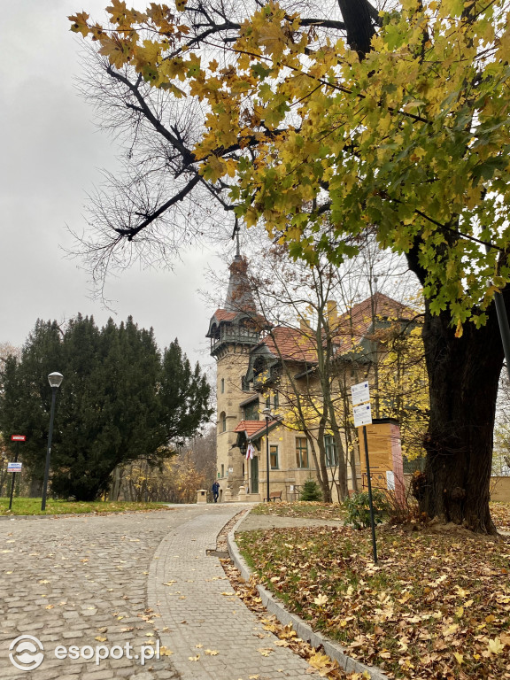 Czapka i szalik w kurorcie: Sopot pełen jesiennych wczasowiczów