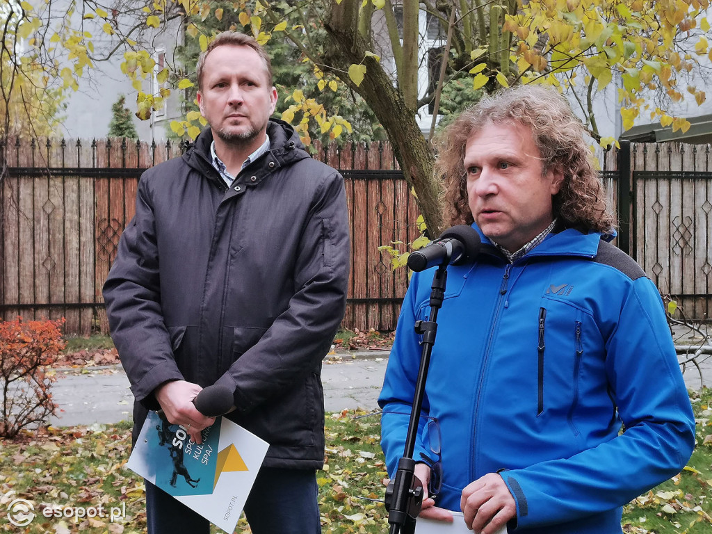 Gdzie w Sopocie pojawią się nowe drzewa?