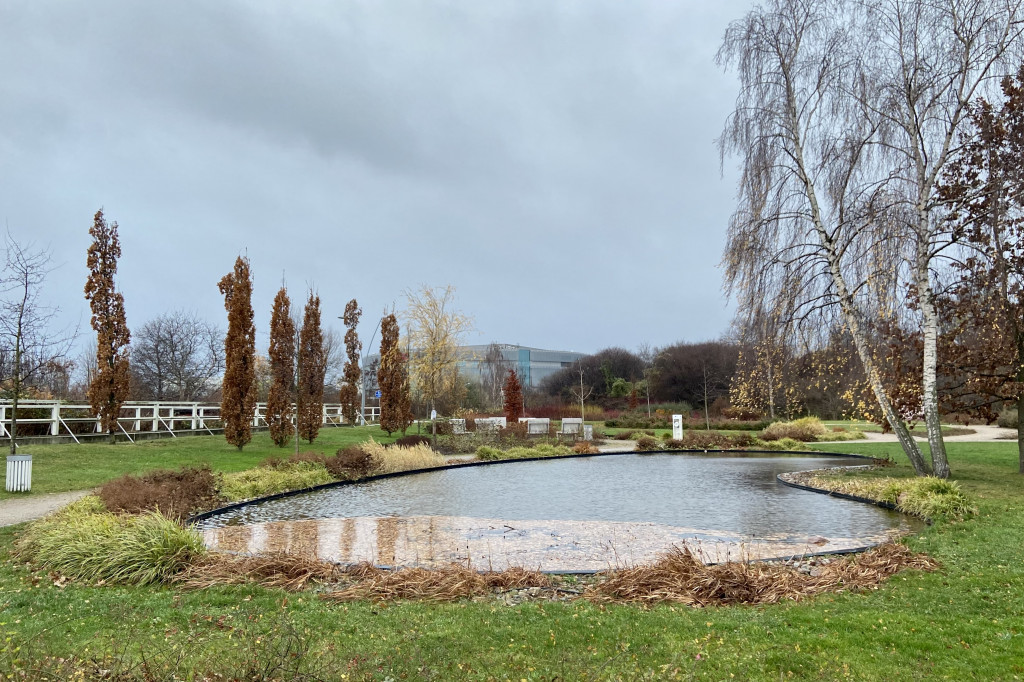 Park Hestii w Sopocie: idealny pomysł na jesienny spacer [FOTO]