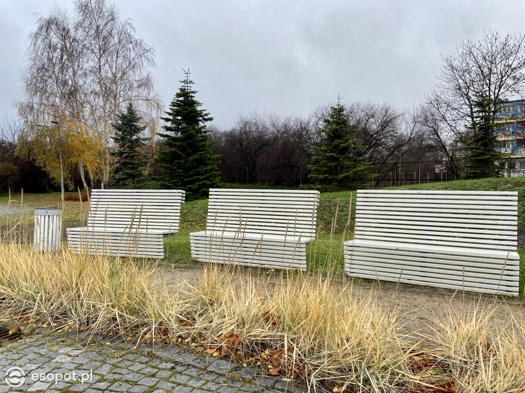 Park Hestii w Sopocie: idealny pomysł na jesienny spacer [FOTO]