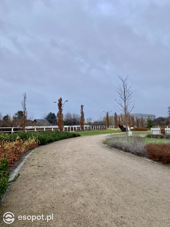 Park Hestii w Sopocie: idealny pomysł na jesienny spacer [FOTO]