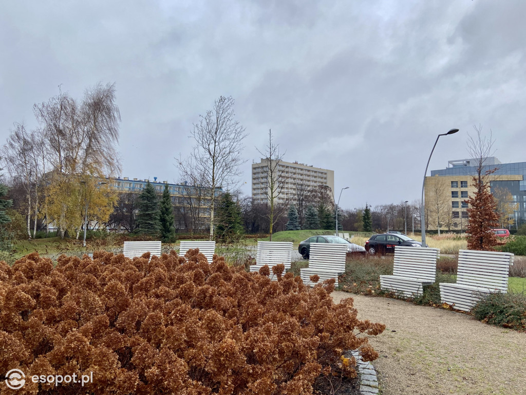 Park Hestii w Sopocie: idealny pomysł na jesienny spacer [FOTO]