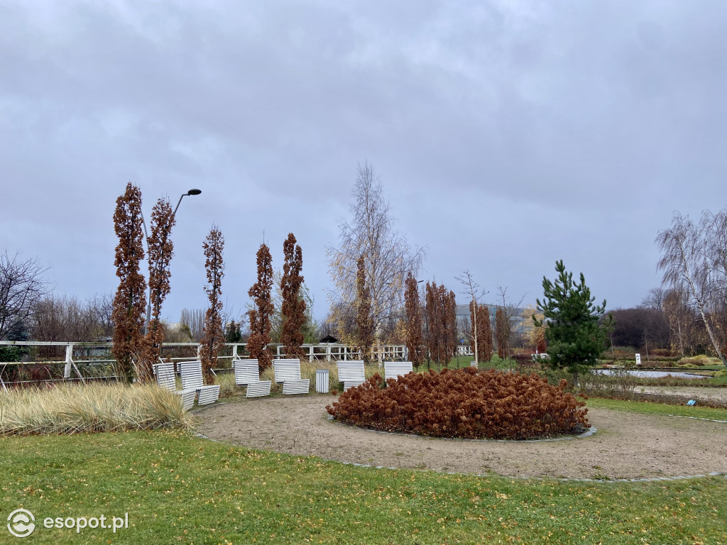 Park Hestii w Sopocie: idealny pomysł na jesienny spacer [FOTO]