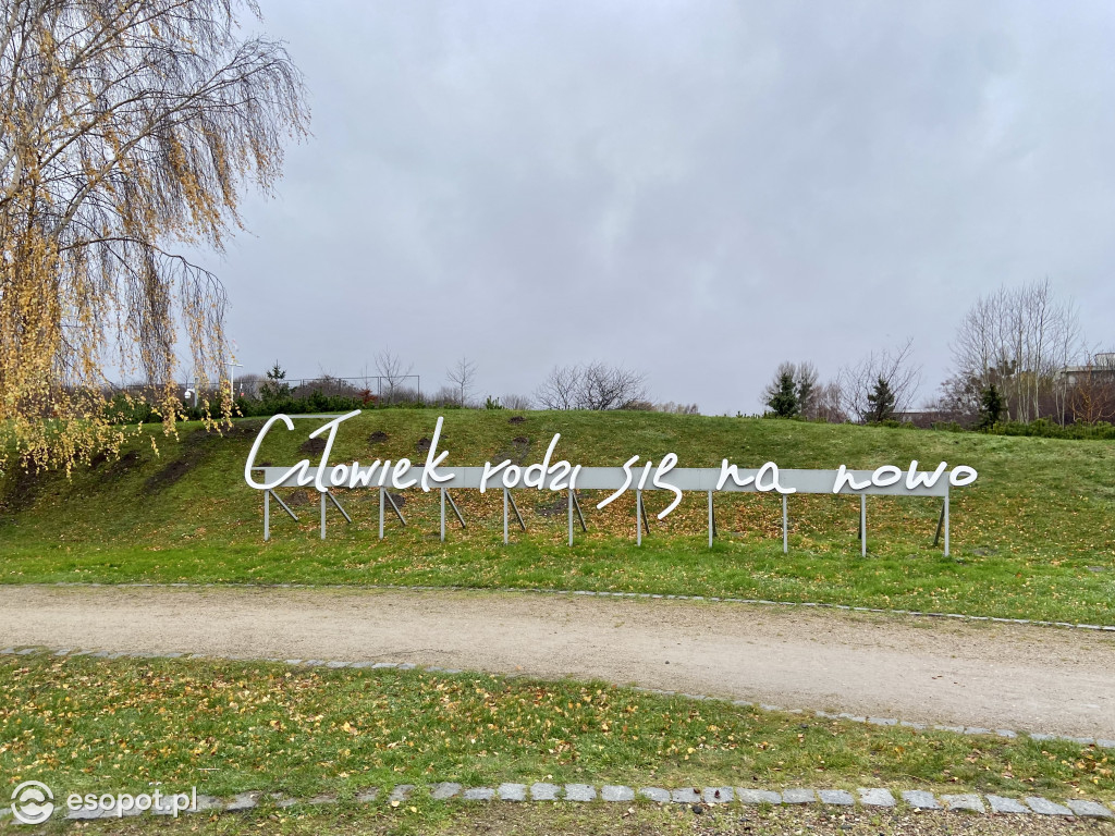 Park Hestii w Sopocie: idealny pomysł na jesienny spacer [FOTO]