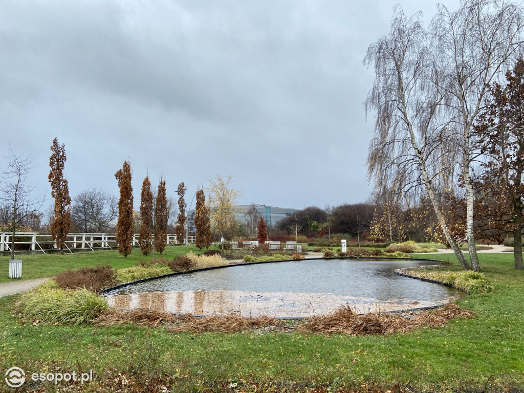Park Hestii w Sopocie: idealny pomysł na jesienny spacer [FOTO]
