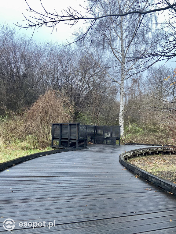 Park Hestii w Sopocie: idealny pomysł na jesienny spacer [FOTO]