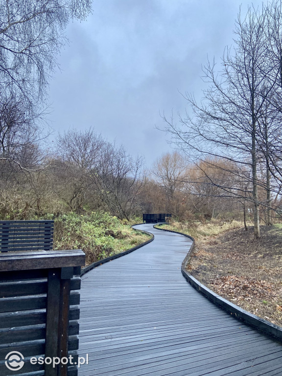 Park Hestii w Sopocie: idealny pomysł na jesienny spacer [FOTO]