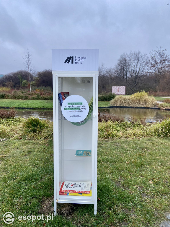 Park Hestii w Sopocie: idealny pomysł na jesienny spacer [FOTO]