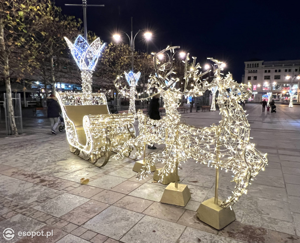 Sopot szykuje się do świąt! Rozbłysła choinka i zimowe dekoracje w kurorcie [FOTO]