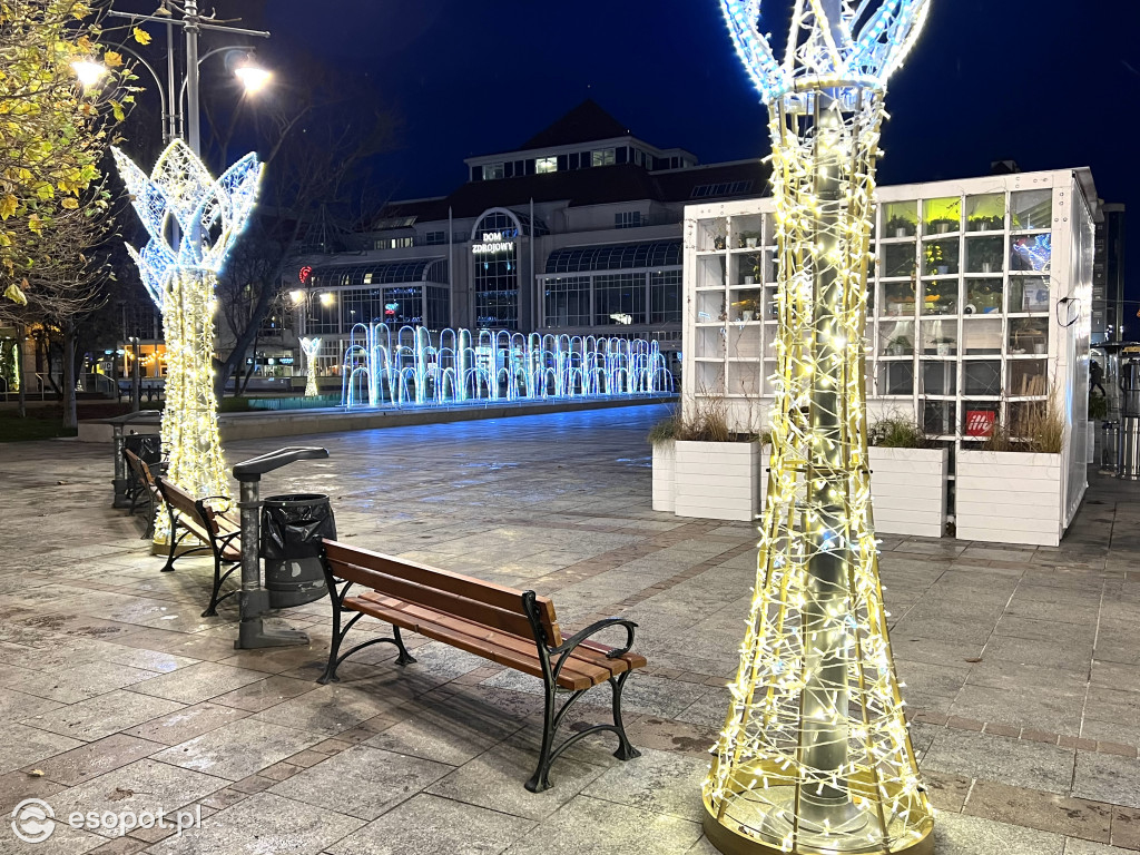 Sopot szykuje się do świąt! Rozbłysła choinka i zimowe dekoracje w kurorcie [FOTO]