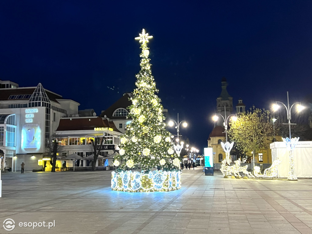 Sopot szykuje się do świąt! Rozbłysła choinka i zimowe dekoracje w kurorcie [FOTO]
