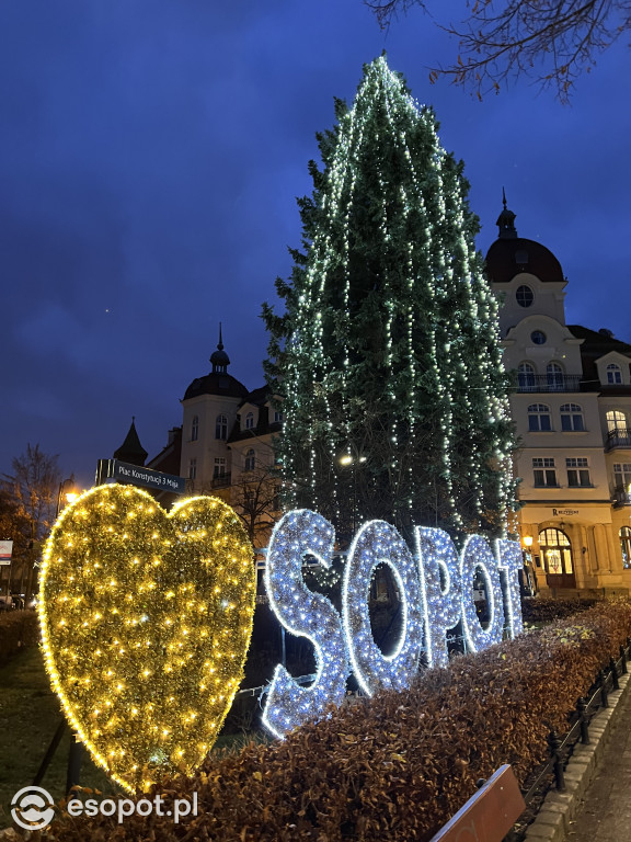 Sopot szykuje się do świąt! Rozbłysła choinka i zimowe dekoracje w kurorcie [FOTO]